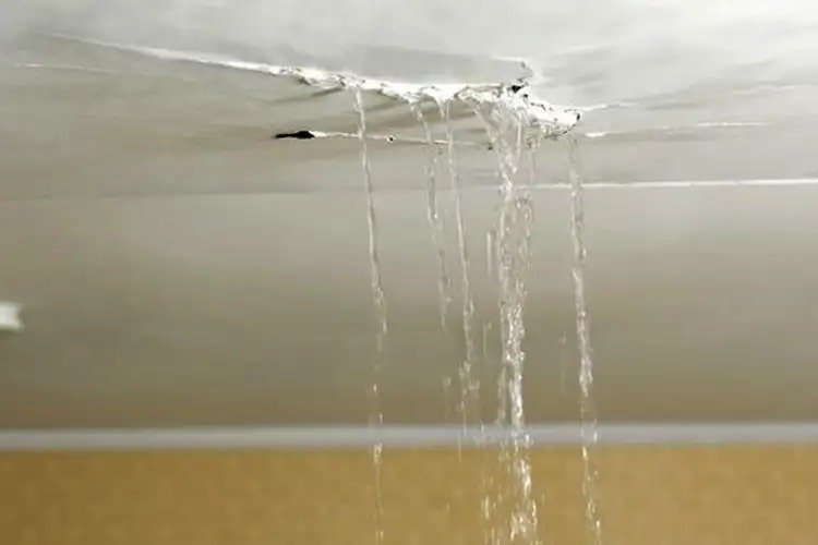 Commercial Building Exterior