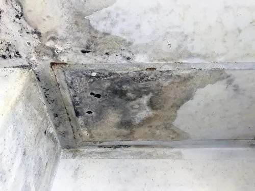 Villa Interior Painting